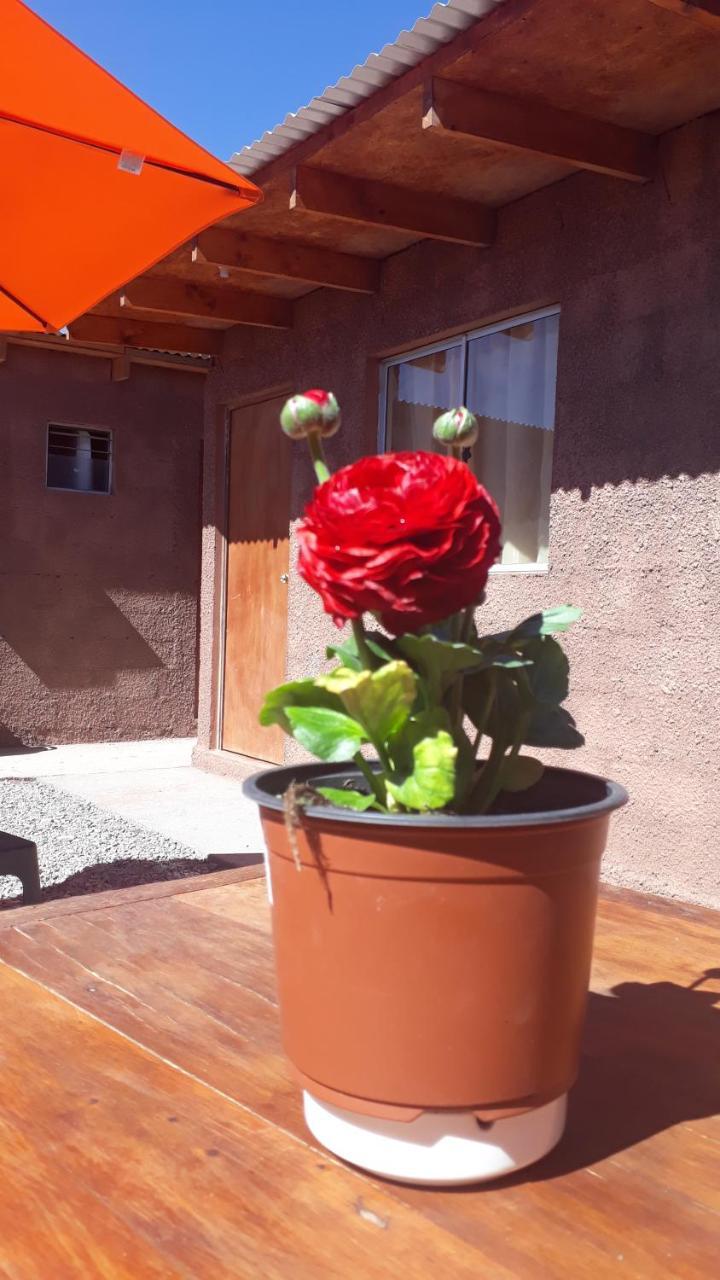 Hostal Open House San Pedro De Atacama Extérieur photo